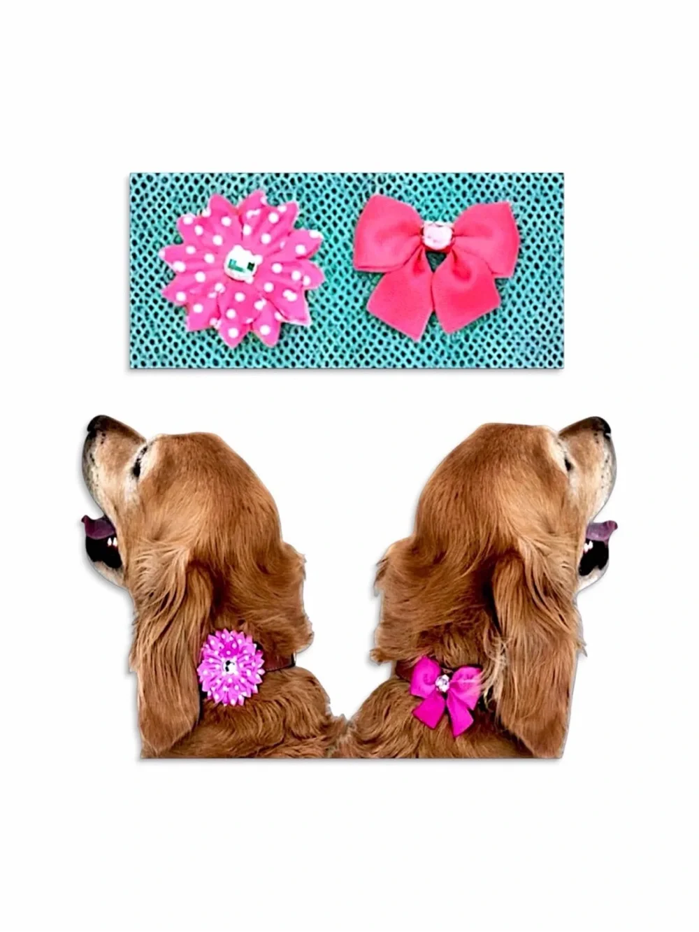 Vibrant Life Dog Girls Just Wanna Have Sun Bandana Set